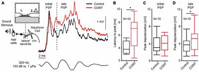 Cellular Mechanisms of Cortisol-Induced Changes in Mauthner-Cell Excitability in the Startle Circuit of Goldfish